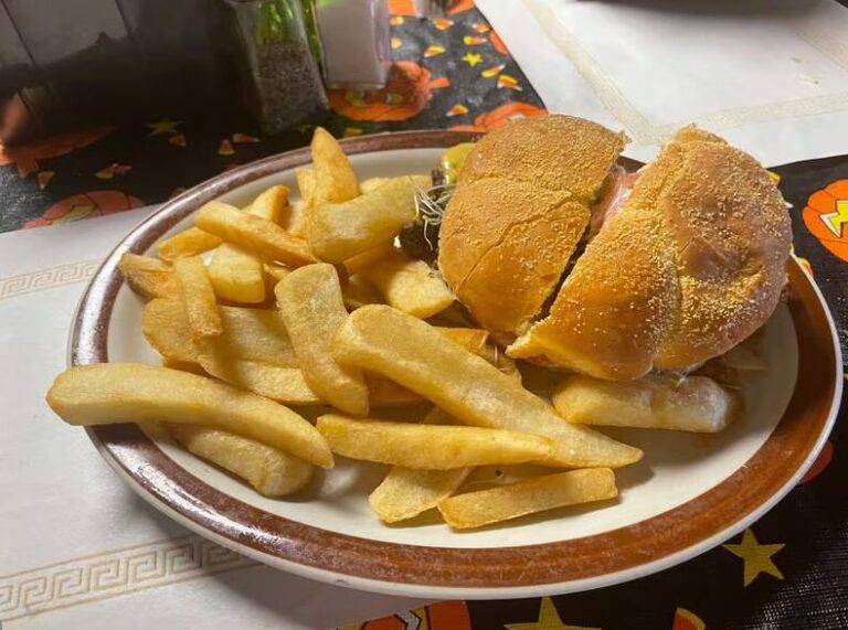 Burger and fries plated at 9th Street Pub in La Salle, IL